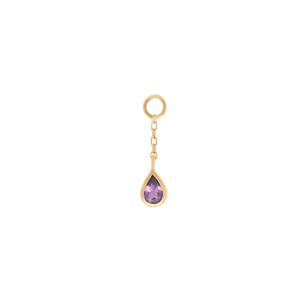 Concorde Charm + Chain with Amethyst - Image 3