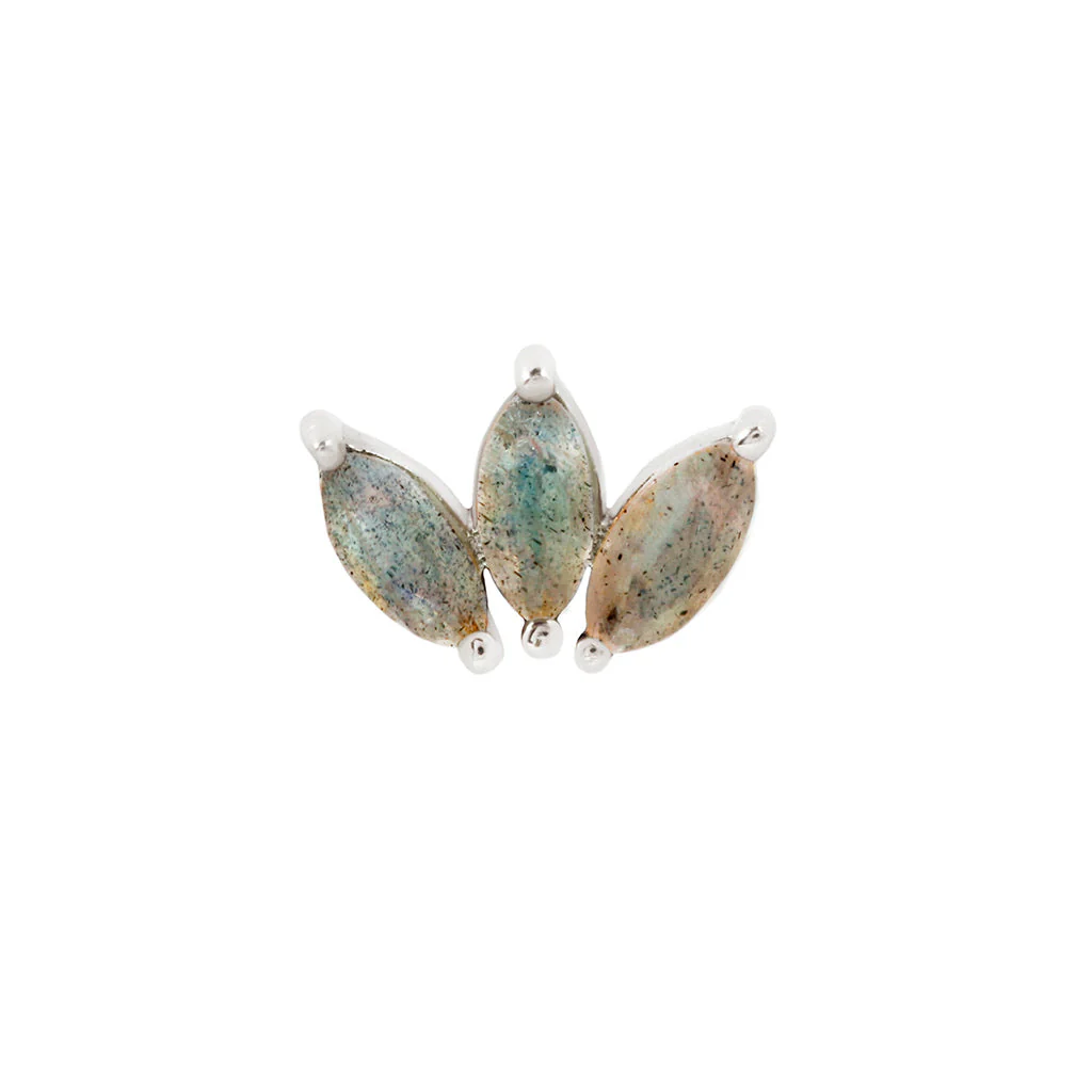 Moet Threadless End with Labradorite - Image 5